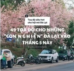 Tọa độ siêu hot cho hội mê Đà Lạt