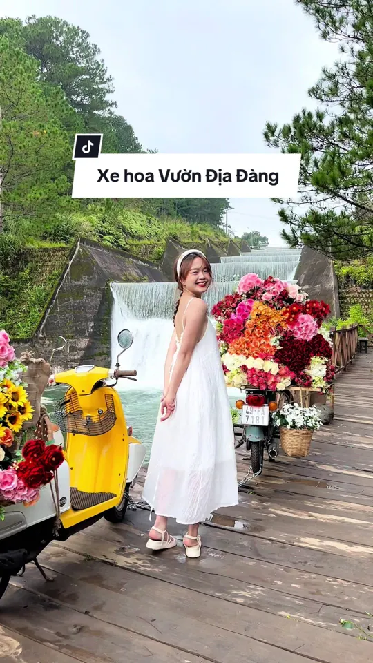 Xe hoa mùa thu ở Vườn Địa Đàng – Suối Mơ Đà Lạt.